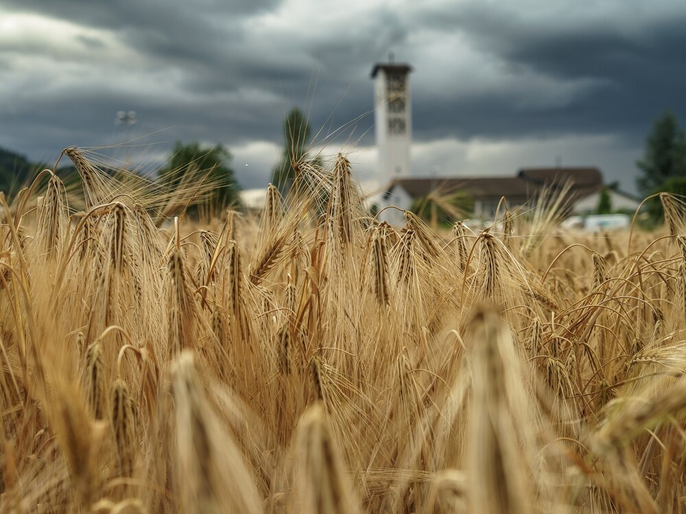 Voranzeige Erntedank & Patrozinium in Killwangen