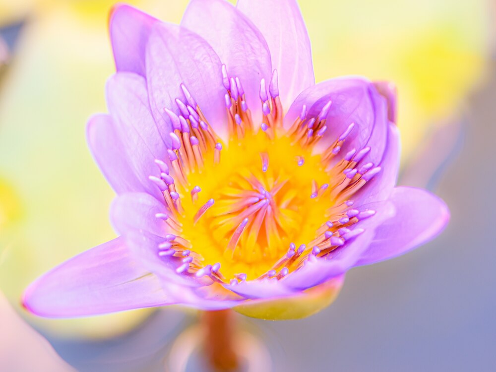 Meditation am Monatsende: Die Kraft der Farben