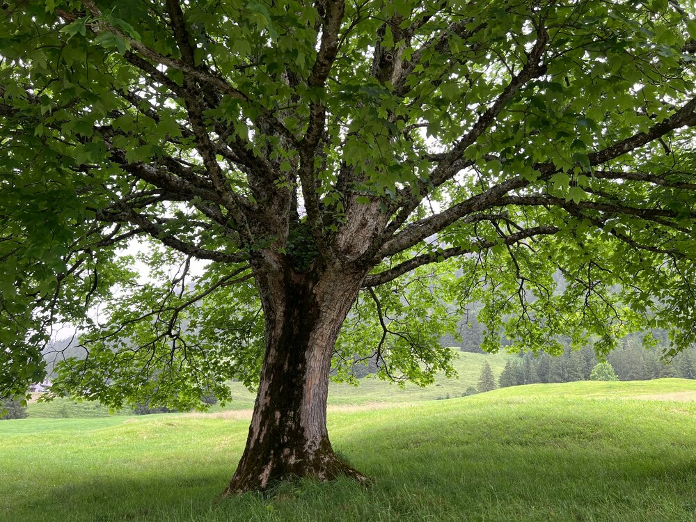 Atempause für die Seele