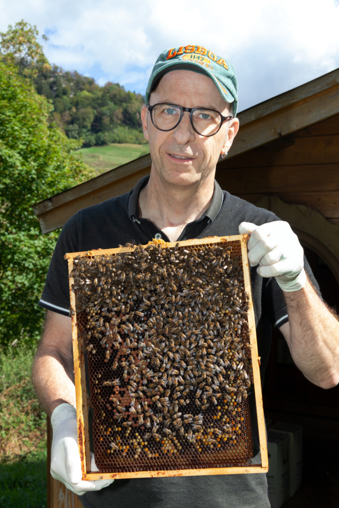 Von den Bienen lernen - Lichtblick Römisch-katholisches Pfarrblatt der Nordwestschweiz 5