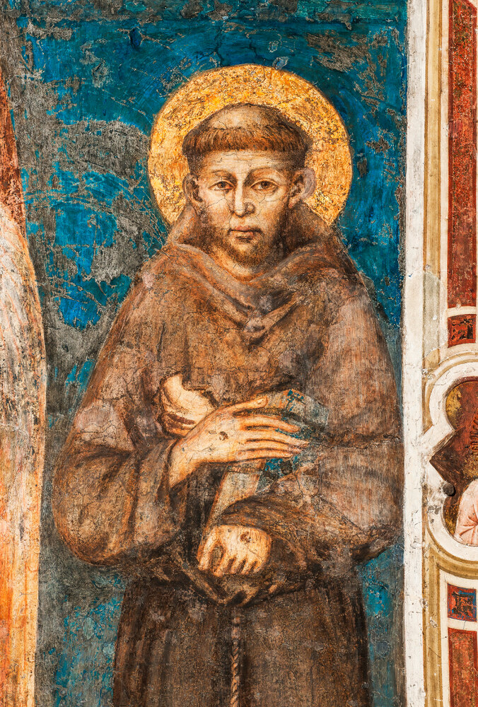 800 Jahre Hl. Franziskus