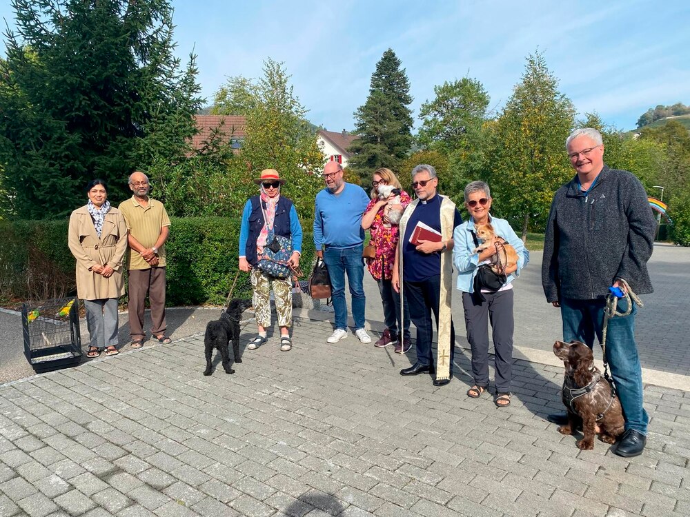 Rückblick auf die Haustiersegnung