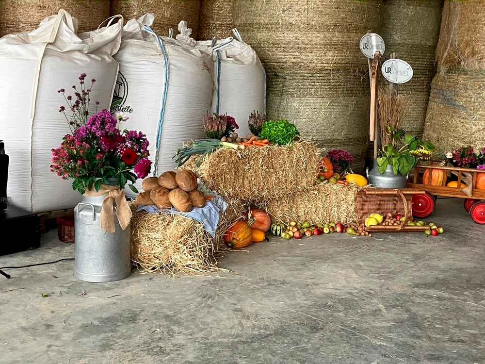 Rückblick Erntedank