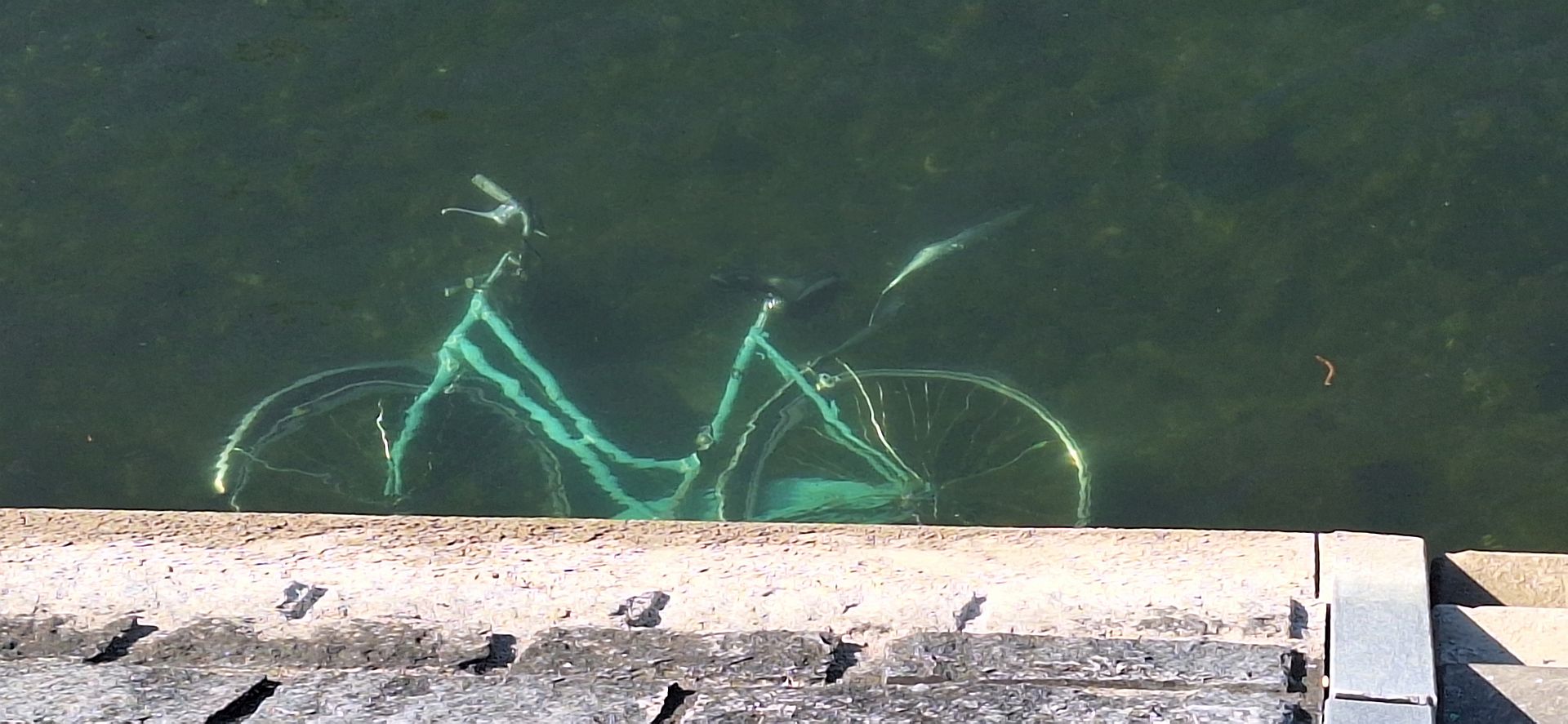 «Im Fluss»